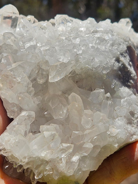West Australian Quartz crystal cluster. XL113