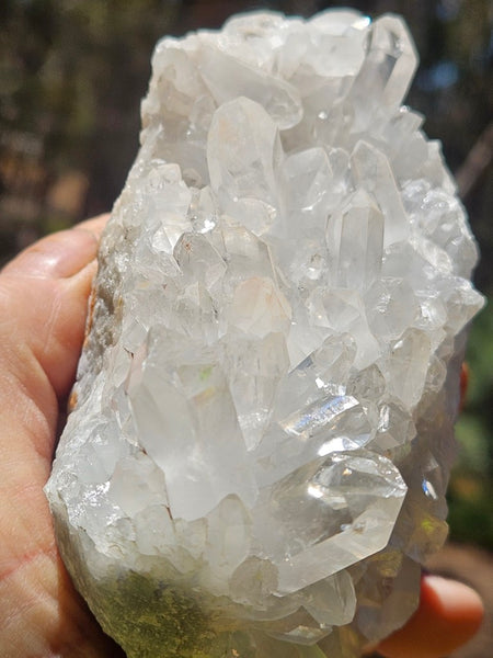 West Australian Quartz crystal cluster. XL113