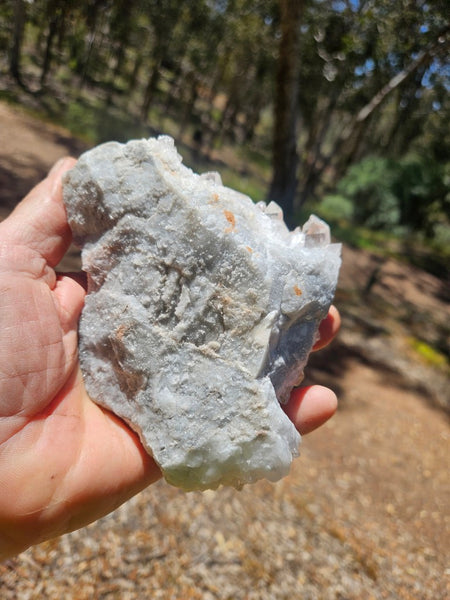 West Australian Quartz crystal cluster. XL113