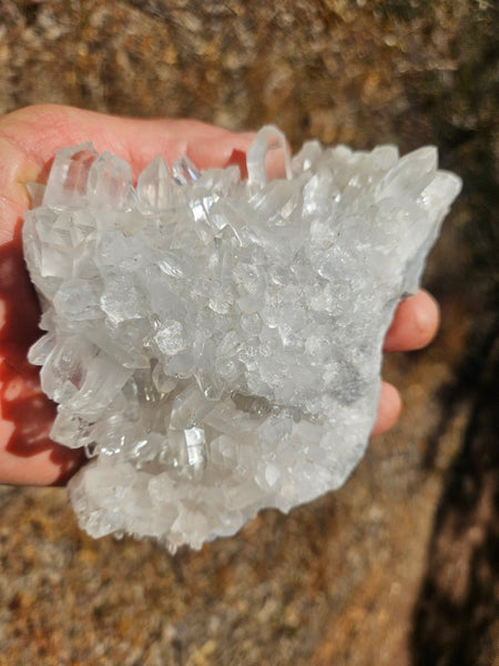West Australian Quartz crystal cluster. XL113