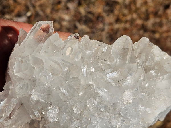 West Australian Quartz crystal cluster. XL113