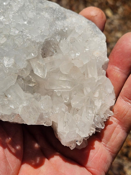 West Australian Quartz crystal cluster. XL113