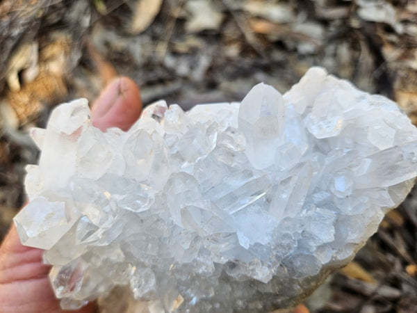West Australian Quartz crystal cluster. XL113