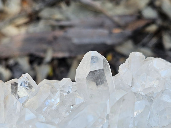 West Australian Quartz crystal cluster. XL113