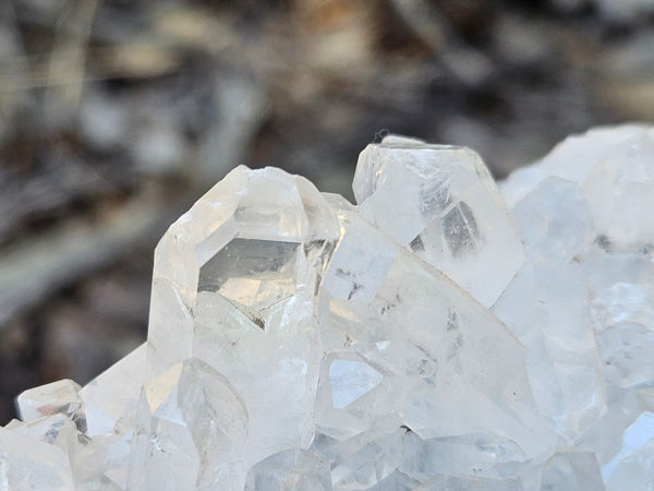 West Australian Quartz crystal cluster. XL113