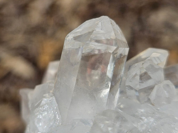 West Australian Quartz crystal cluster. XL113