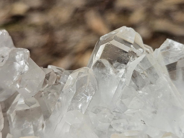 West Australian Quartz crystal cluster. XL113