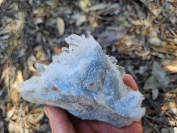 West Australian Quartz crystal cluster. XL113