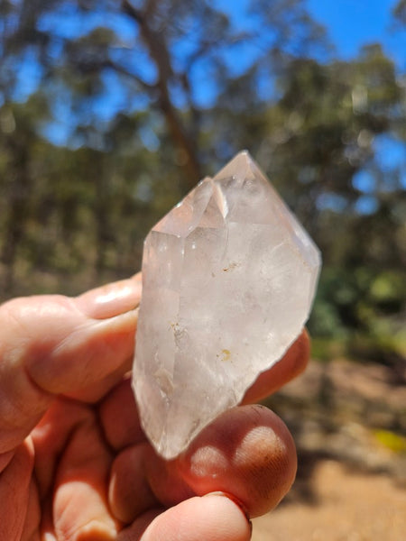 West Australian Quartz crystal . XL114