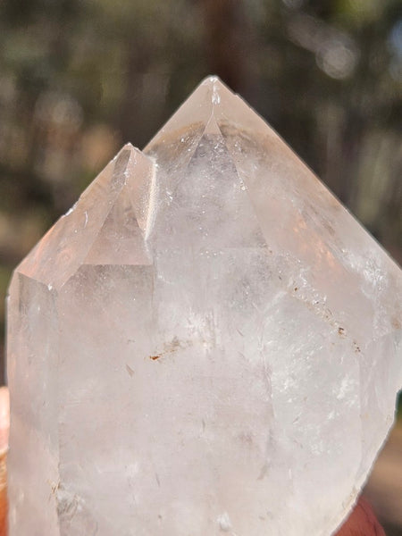 West Australian Quartz crystal . XL114