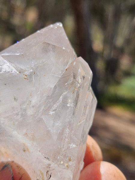 West Australian Quartz crystal . XL114