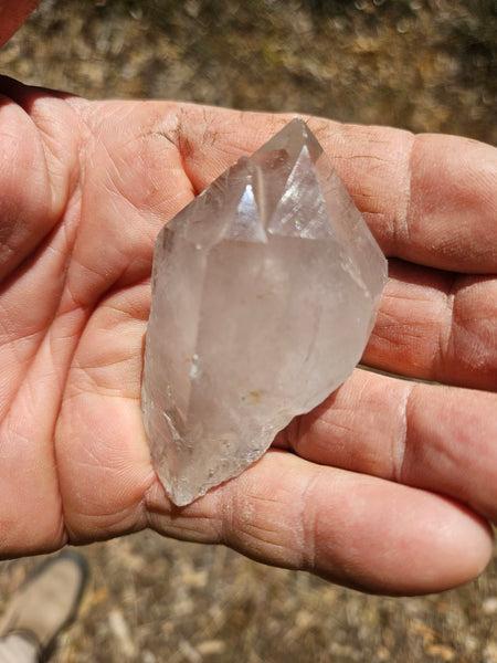 West Australian Quartz crystal . XL114