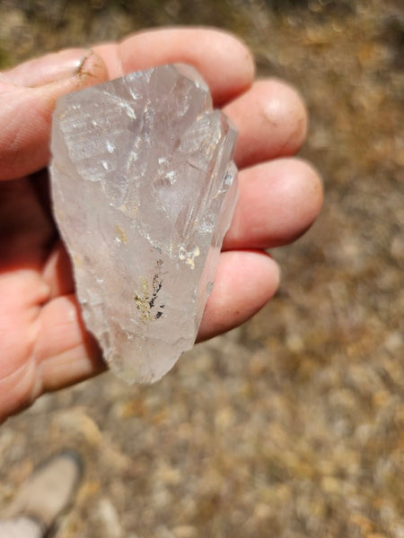 West Australian Quartz crystal . XL114