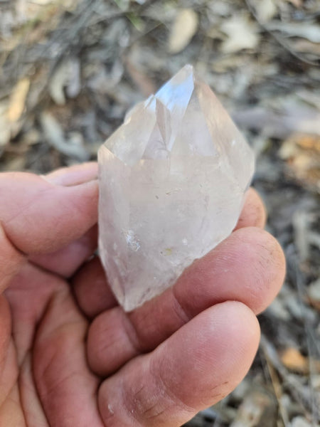 West Australian Quartz crystal . XL114