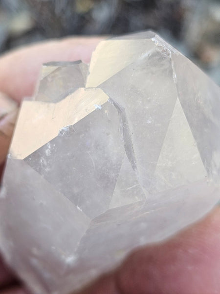 West Australian Quartz crystal . XL114