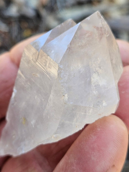 West Australian Quartz crystal . XL114