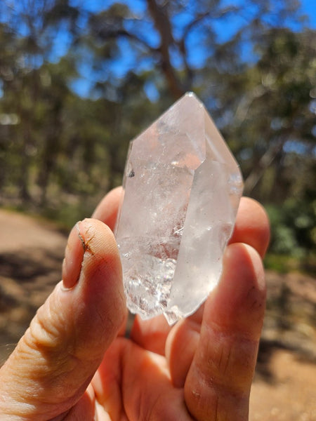 West Australian Quartz crystal . XL115
