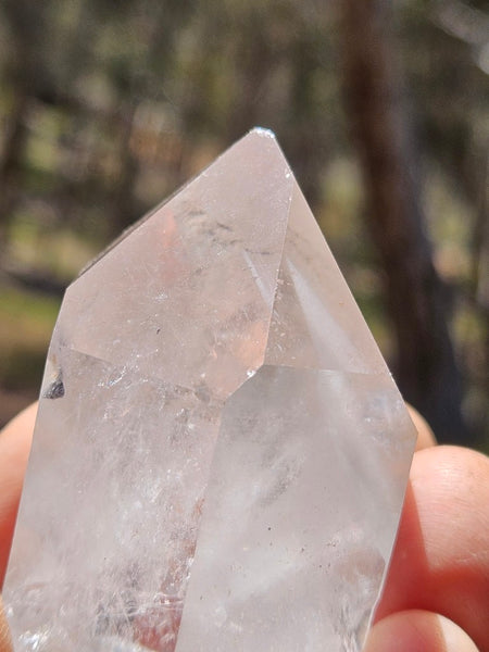 West Australian Quartz crystal . XL115