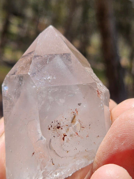 West Australian Quartz crystal . XL115