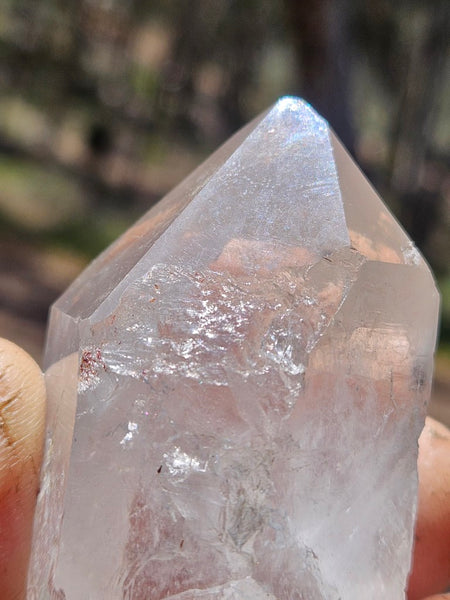 West Australian Quartz crystal . XL115