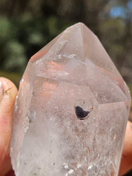 West Australian Quartz crystal . XL115