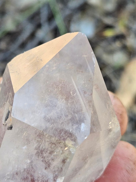 West Australian Quartz crystal . XL115
