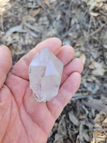 West Australian Quartz crystal . XL115