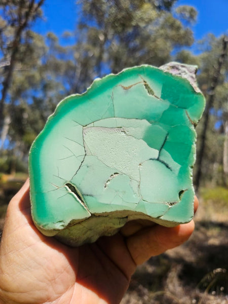 Polished  Chrysoprase  CH493