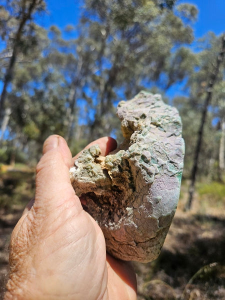 Polished  Chrysoprase  CH493