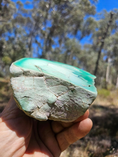 Polished  Chrysoprase  CH493