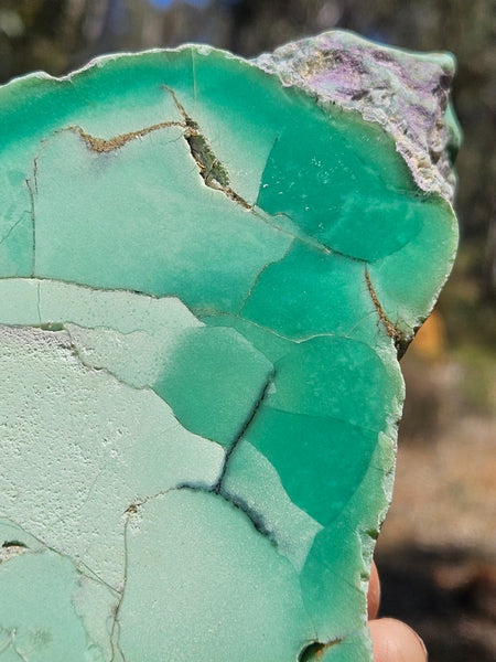 Polished  Chrysoprase  CH493