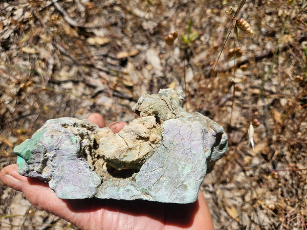 Polished  Chrysoprase  CH493