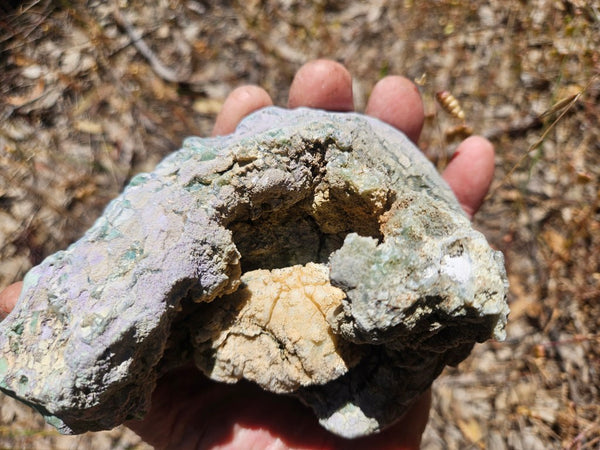 Polished  Chrysoprase  CH493