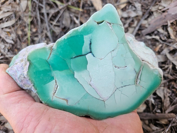 Polished  Chrysoprase  CH493
