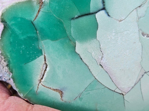 Polished  Chrysoprase  CH493