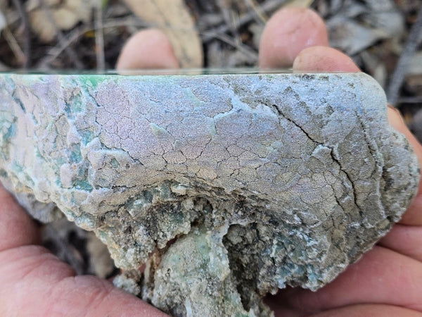 Polished  Chrysoprase  CH493