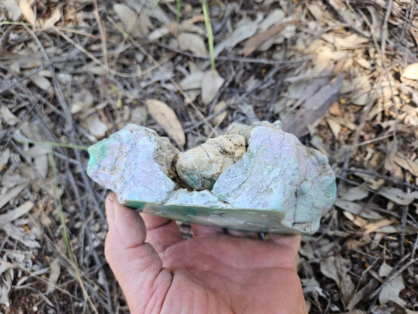 Polished  Chrysoprase  CH493