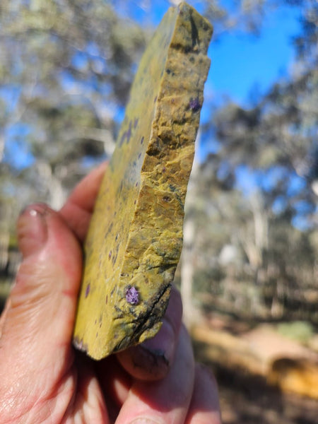 Polished Stichtite in Serpentine slab (Atlantisite) STI152