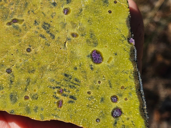 Polished Stichtite in Serpentine slab (Atlantisite) STI152