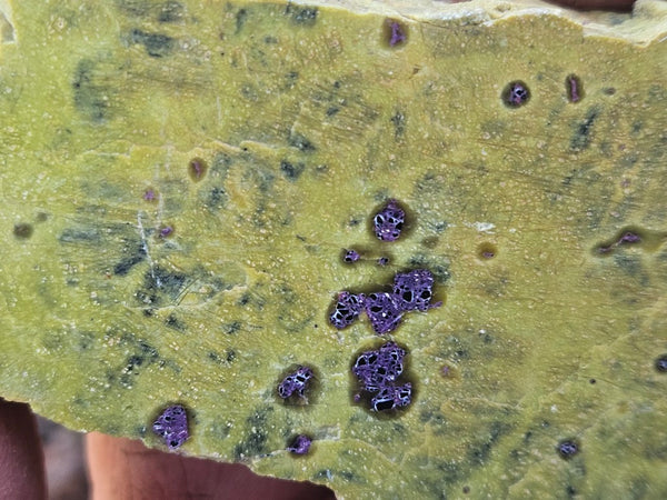 Polished Stichtite in Serpentine slab (Atlantisite) STI152