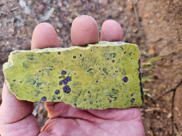 Polished Stichtite in Serpentine slab (Atlantisite) STI152