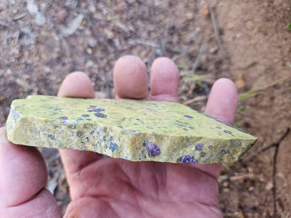 Polished Stichtite in Serpentine slab (Atlantisite) STI152