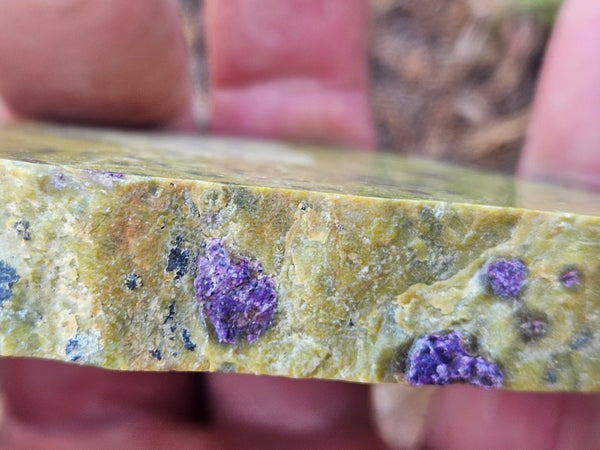 Polished Stichtite in Serpentine slab (Atlantisite) STI152