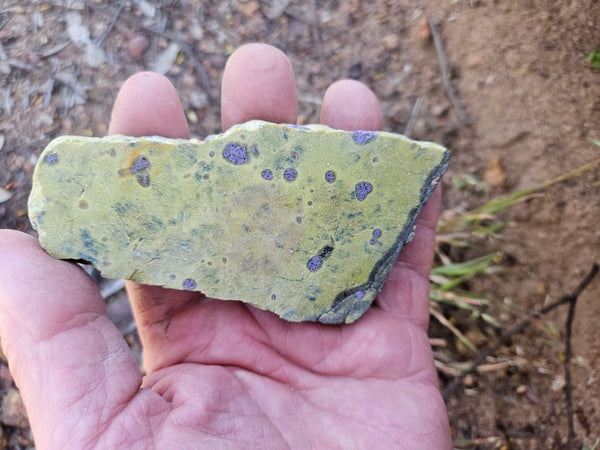 Polished Stichtite in Serpentine slab (Atlantisite) STI152