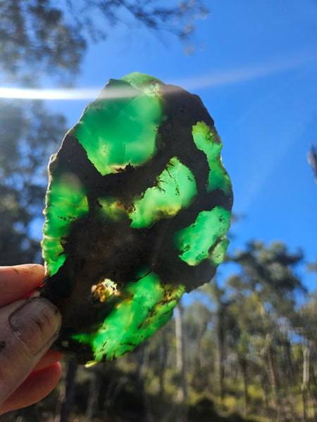 Polished  Chrysoprase slab CH492