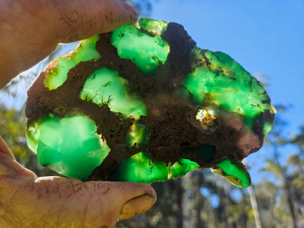 Polished  Chrysoprase slab CH492