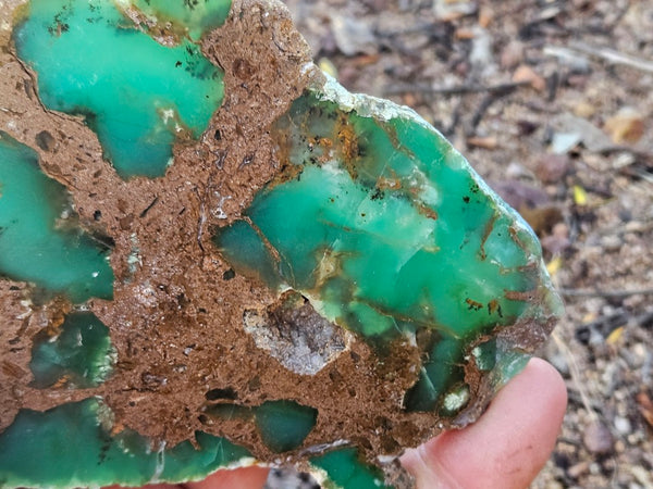 Polished  Chrysoprase slab CH492