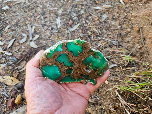 Polished  Chrysoprase slab CH492