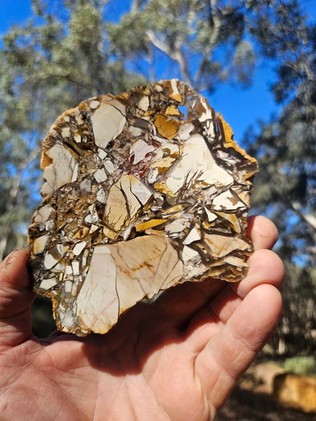 Polished Brecciated Mookaite slab BM341