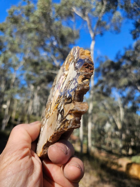 Polished Brecciated Mookaite slab BM341